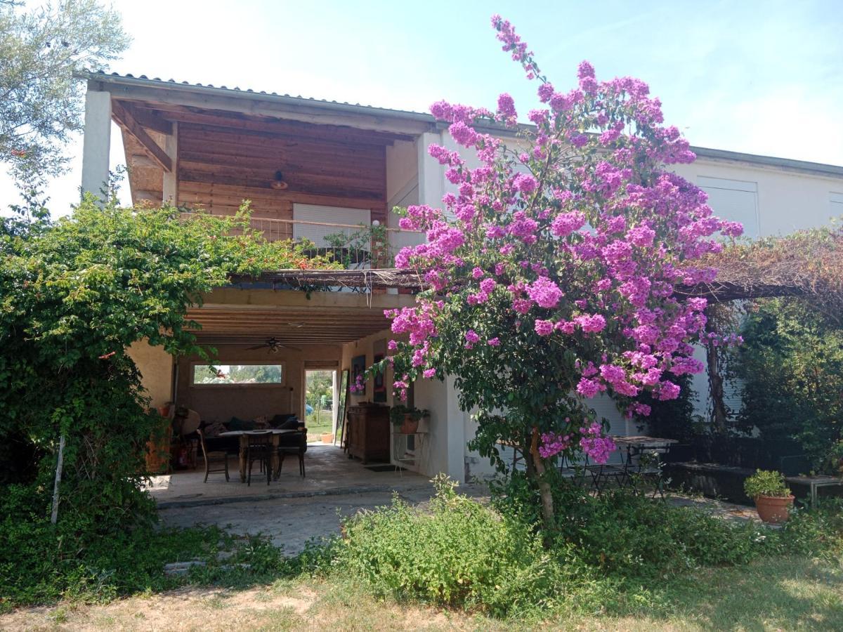 Domaine Limouzy Villa Narbonne Eksteriør bilde