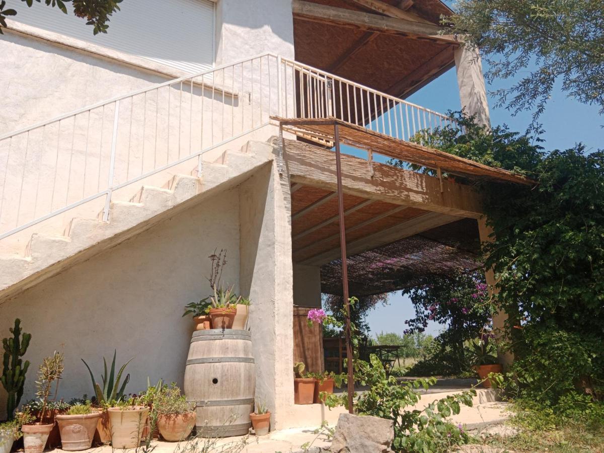 Domaine Limouzy Villa Narbonne Eksteriør bilde