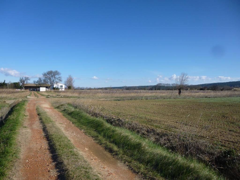 Domaine Limouzy Villa Narbonne Rom bilde