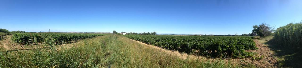 Domaine Limouzy Villa Narbonne Eksteriør bilde