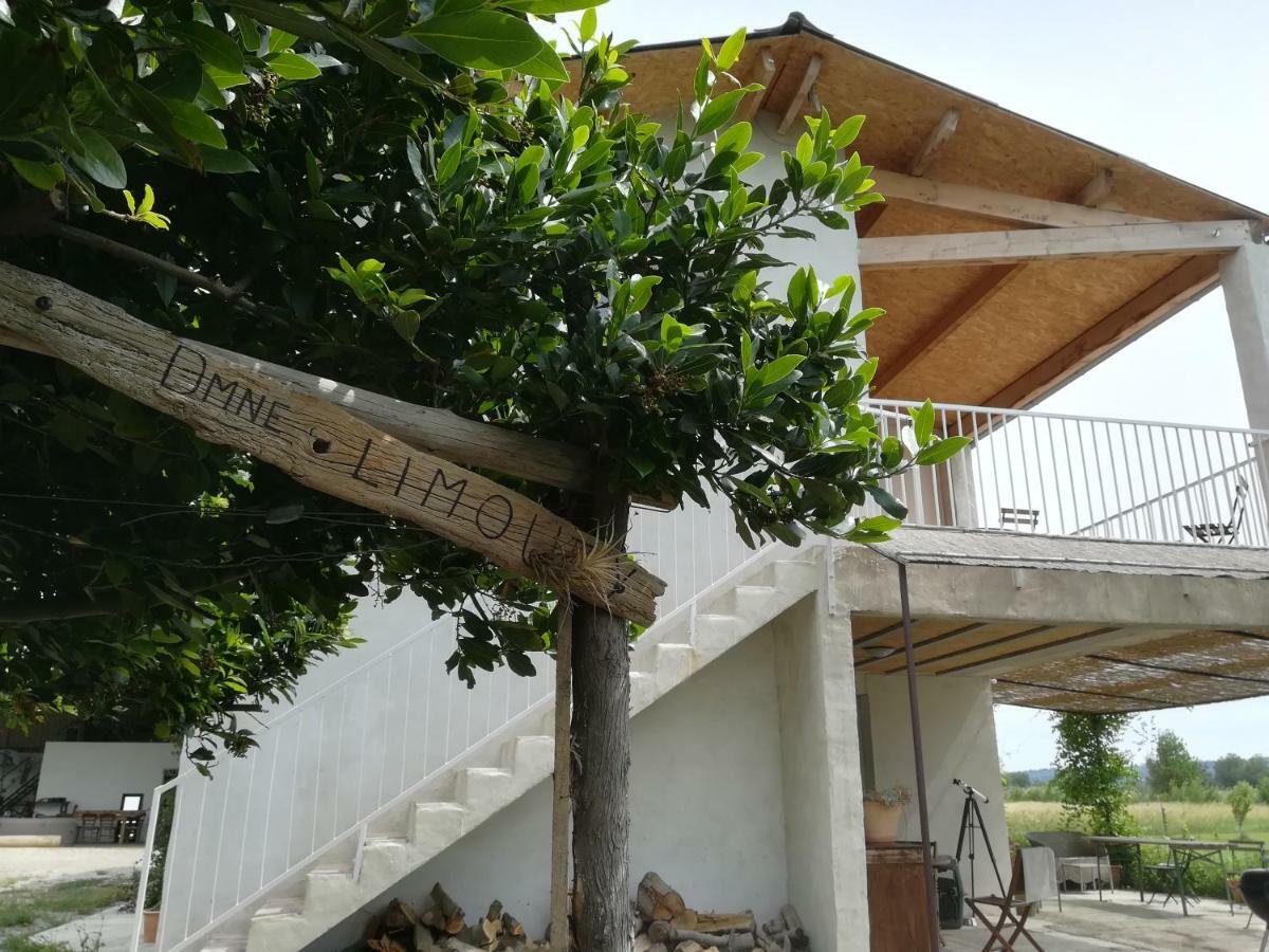 Domaine Limouzy Villa Narbonne Eksteriør bilde
