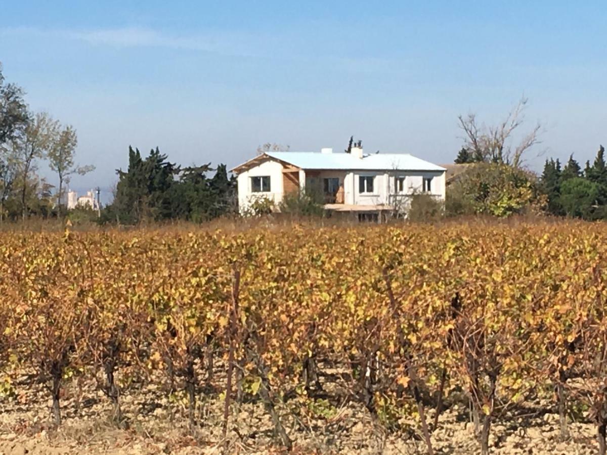 Domaine Limouzy Villa Narbonne Eksteriør bilde